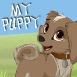 MY PUPPY